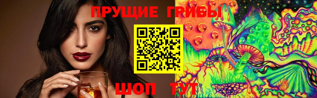 Томск  Псилоцибиновые грибы Psilocybine cubensis  Вход с VPN 